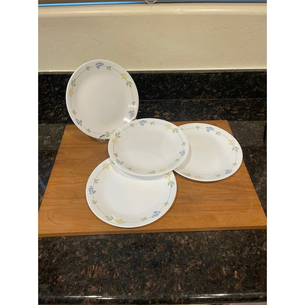 4 Corelle Secret Garden lunch Plates